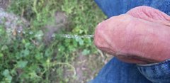 20190714_153024.jpg