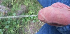 20190714_153013.jpg