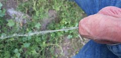 20190714_152958.jpg