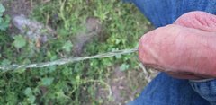 20190714_152959.jpg