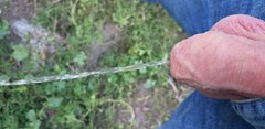 20190714_152957.jpg