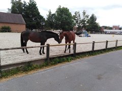 IMG_20190713_175236.jpg