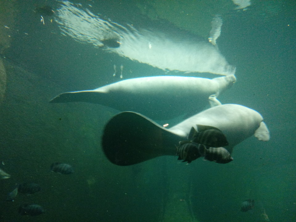 20190501_115122[1].jpg - spokogoscpoz