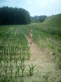 IMG_20190616_104615.jpg