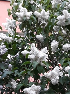 20190510_200809.jpg