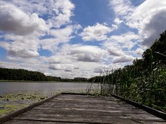 20190717_133625.jpg