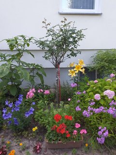 20190718_154235.jpg