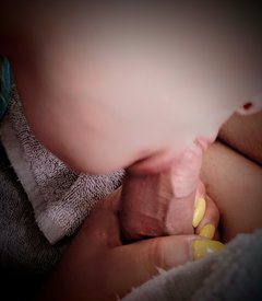 IMG_20190720_103033~2.jpg