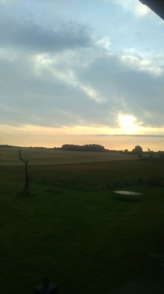 IMAG0267.jpg