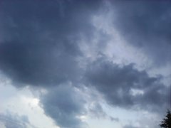 IMG_20190620_194419.jpg