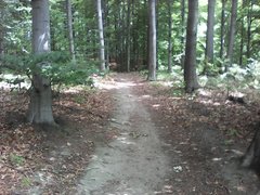 IMG_20190718_115536.jpg