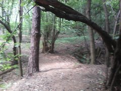 IMG_20190718_135543.jpg