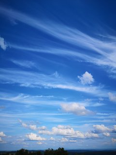IMG_20190721_174458.jpg