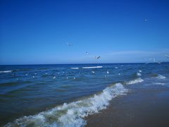 IMG_20190721_170601.jpg