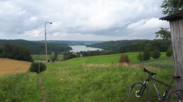Wildicki2