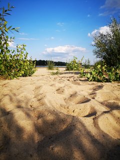 2019-07-25 17.52.51.jpg