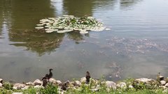 20190725_142039.jpg