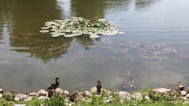 zgranapaarka