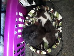 20190725_184345.jpg
