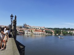20190724_130843.jpg