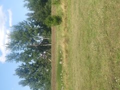 20190726_154349.jpg