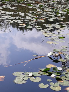 20190728_112232.jpg