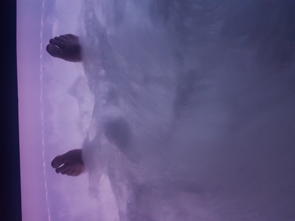 15643430744174807080224998288406.jpg - tygrysek2256