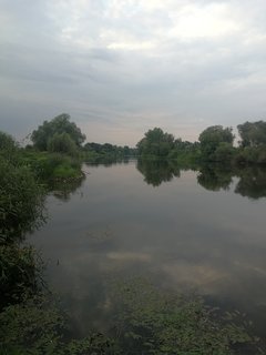 IMG_20190729_195347.jpg