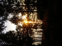 20190630_203609.jpg