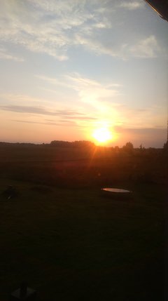 IMAG0276.jpg
