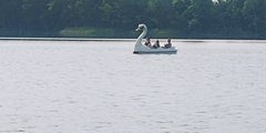 20190609_173416.jpg