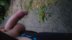 20190802_051657.jpg