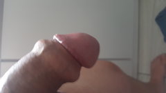 1564754227740752528014.jpg