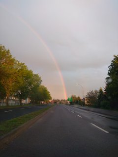 IMG_20190523_044900.jpg