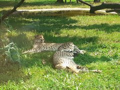 20190801_150015.jpg