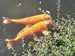 20190801_150334.jpg