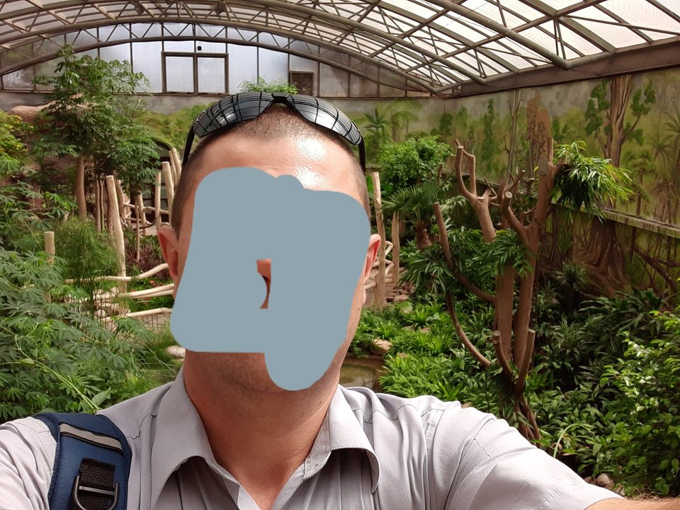 20190802_195541.jpg - Przemodkl79