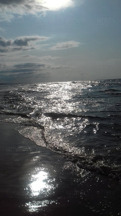 20190802_173842.jpg