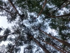 20190802_201541.jpg