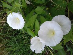 20190802_144853.jpg