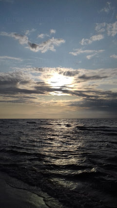 20190803_191951.jpg