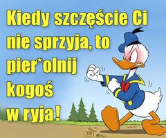 FB_IMG_1564737498353.jpg