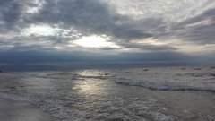 IMG_20190731_200106.jpg