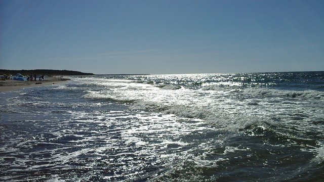 biMiKpuszysta