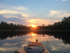IMG_20190803_084914.jpg