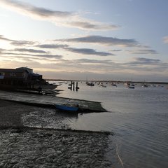 IMG_20190807_003649_657.jpg