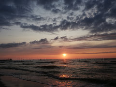 IMG_20190806_202157.jpg