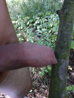 IMG_20190806_150527.jpg