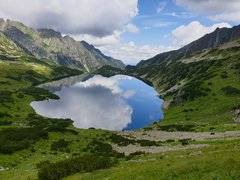20190725_121802.jpg