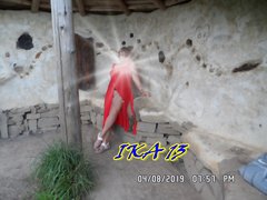 SAM_2195.JPG